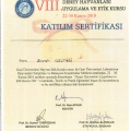 Resmi büyüt: certificate 9
