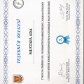 Resmi büyüt: certificate 30