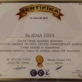 Resmi büyüt: certificate 2