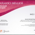 Resmi büyüt: certificate 8