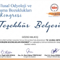 Resmi büyüt: certificate 17