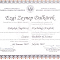 Resmi büyüt: certificate 8
