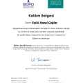 Resmi büyüt: certificate 1