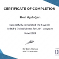 Resmi büyüt: certificate 4