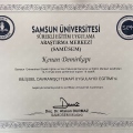 Resmi büyüt: certificate 6