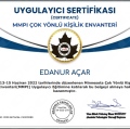 Resmi büyüt: certificate 3