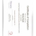 Resmi büyüt: certificate 3