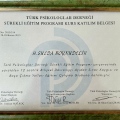Resmi büyüt: certificate 12