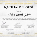 Resmi büyüt: certificate 17