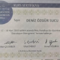 Resmi büyüt: certificate 13