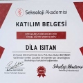 Resmi büyüt: certificate 13