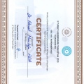 Resmi büyüt: certificate 1