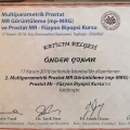 Resmi büyüt: certificate 2