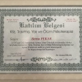 Resmi büyüt: certificate 5