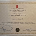 Resmi büyüt: certificate 1
