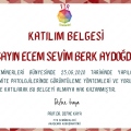 Resmi büyüt: certificate 4