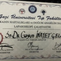 Resmi büyüt: certificate 28