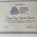Resmi büyüt: certificate 3