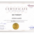 Resmi büyüt: certificate 4