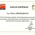 Resmi büyüt: certificate 1
