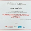 Resmi büyüt: certificate 2