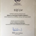 Resmi büyüt: certificate 5