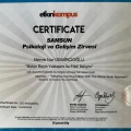 Resmi büyüt: certificate 12