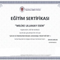 Resmi büyüt: certificate 10