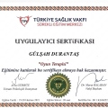 Resmi büyüt: certificate 2