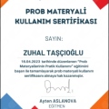 Resmi büyüt: certificate 8