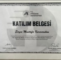 Resmi büyüt: certificate 15