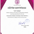 Resmi büyüt: certificate 5