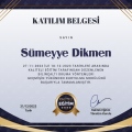 Resmi büyüt: certificate 32