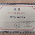 Resmi büyüt: certificate 2