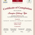 Resmi büyüt: certificate 7