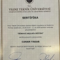 Resmi büyüt: certificate 11