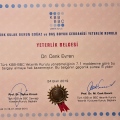 Resmi büyüt: certificate 2