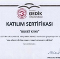 Resmi büyüt: certificate 4