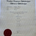 Resmi büyüt: certificate 1