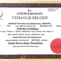 Resmi büyüt: certificate 4