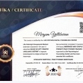 Resmi büyüt: certificate 2