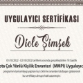 Resmi büyüt: certificate 1