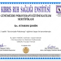 Resmi büyüt: certificate 23