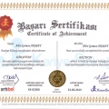 Resmi büyüt: certificate 12