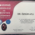 Resmi büyüt: certificate 19