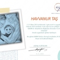 Resmi büyüt: certificate 4