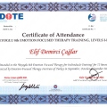 Resmi büyüt: certificate 8
