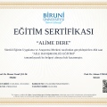 Resmi büyüt: certificate 3