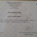 Resmi büyüt: certificate 7