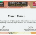 Resmi büyüt: certificate 2